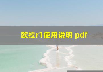 欧拉r1使用说明 pdf